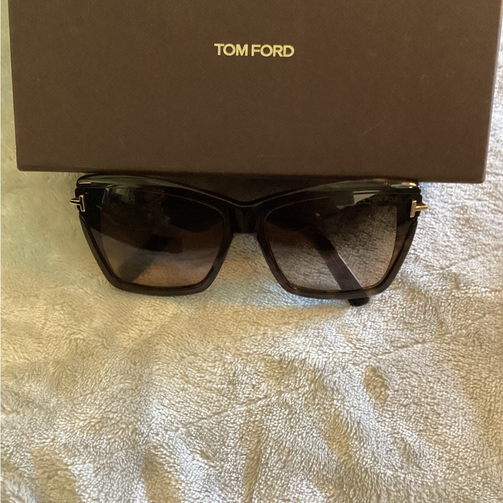 Tom Ford Dark Frame Sunglasses